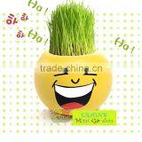 Mini Garden Growing Grass Hair Toy Growing Grass Head Toys 002-2(ceramic Colour Glaze) thumbnail-4