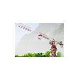 Competitive Tower Crane PT6313