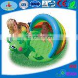 Inflatable Frog Pool with Sunshade