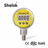 RS485 4 ~ 20mA remote hydraulic digital pressure gauge price