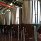 Beer Fermenting Equipment Beer Fermentor 400L Beer Fermentation Tank