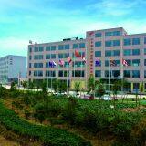 Shandong Taishan Huayue Glass Ltd company overview - view 1 thumbnail