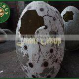 Lisaurus-I Chinese Dinosaur Egg Dinosaur Eggs With HQ Dinosaur Cute Egg Dinosaur Egg Fosil thumbnail-3
