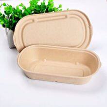 Bagasse Oval 750 ml Biodegradable Container With Lid for Event and Party Supplies thumbnail-1