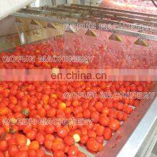 Tomato Paste Production Line thumbnail-5