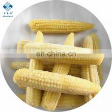 2020 New Crop Top Grade for Sale IQF Frozen Baby Corn Cut thumbnail-2