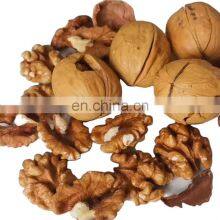 Factory Outlet Premium Walnuts and Kernels Raw Walnut of Low Price thumbnail-1