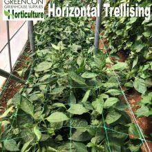 China Factory Supply Trellis Net Climbing Plants Supporting Net thumbnail-2