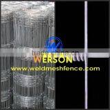 Hot Dipped Galvanized Deer Fence ,deer Control Fence| Werson Fence thumbnail-6