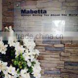 Mabetta Marketing company overview - view 3 thumbnail