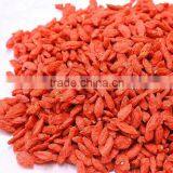 Super Fruit Gojiberry With Low Price thumbnail-1