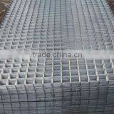 Galvanized Welded Wire Mesh