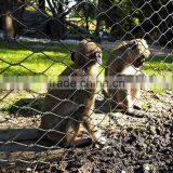 Zoo Mesh Stainless Steel thumbnail-4