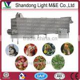 Industrial Electric Stainless Steel Pet Food Conveyor Belt Dryer