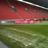 Stadium Perimeter P10 Outdoor Full Color Led Display Sign