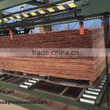 Eucalyptus Joint Core Veneer for Making Plywood From Vietnam thumbnail-3