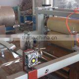 Mechanized Assembly Line PET Sheet Production Line/making Machine/extruder thumbnail-2