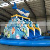 jumping castles inflatable water slide,inflatable vagina slide