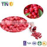TTN 2016 Bulk Wholesale Freeze Dried Fruit Dried Raspberry thumbnail-3