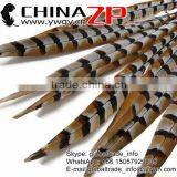 ZPDECOR Wholesale Top Selling Raw 45-50cm Size Reeves Venery Pheasant Tail Feathers for Decorations thumbnail-4