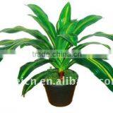 Artificial Dracaena Fragrans