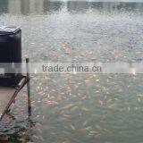 Zhengzhou Factory Manufacture Feeder Fish(0086-13837171981)
