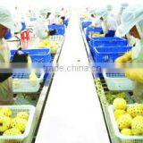 Zhangzhou Wangui Agriculture Development Co., Ltd. company overview - view 2 thumbnail