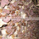 china black fungus