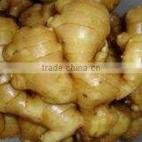 China Spice Vegetable of Fresh Ginger in Hot Sale thumbnail-3