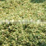 High Efficient Grass Cutting Machine for Animal thumbnail-5