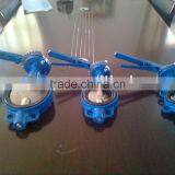 Center Disc Butterfly Valve for Spain Market thumbnail-1