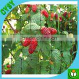 Heavy Duty Long-lasting 100% Virgin pe Quality Plant Support Net, Climbing Plant Net, Cucumber Mesh Netting thumbnail-4