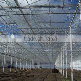 Easily Assembled Commercial Glass Greenhouse With Best Price thumbnail-2