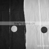 Agriculture Mulch Films ,perforated Mulch Film (with 2 or 4 Holes) thumbnail-1