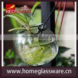Hydroponics Pumpkin Shape Glass Hanging Bottle thumbnail-1