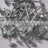 Umbrella Roofing Nail