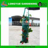 Wholesale PE Plastic Unique Garden Hanging Plant Bags thumbnail-1