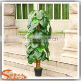 Factory Wholesale uv Artificial Outdoor Plants thumbnail-1