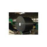 Cold Resisitant Conveyor Belt thumbnail-1