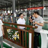Aluminum Rail Landscape Bridge Guardrail