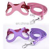 Eyeglass Shaped Pet Collar Leash Training Dog Pulling Rope Pet Neck Chain Pet Supplies thumbnail-6