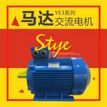 YE3 Series Low-Voltage Motor AC MOTOR thumbnail-3