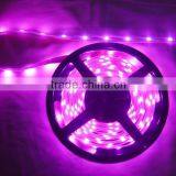High Quality Fullcolor WS2812B Addressable Rgb Led Strip SMD5050 5V 12V 60leds thumbnail-5