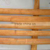 TUBE CASSIA (CINNAMON) thumbnail-1