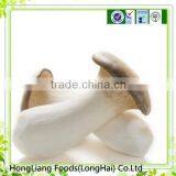 Hot Sale Good Quality Fresh King Oyster Mushroom thumbnail-1