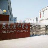 Zhejiang Seeway Gloves Co., Ltd. company overview - view 1 thumbnail