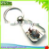 Real Insects Key Ring, Animial Specimen Sample Key Ring , Butterflies, Sea Life Amber Fashion Jewelry Key Ring thumbnail-3