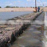 Gabion Stone Wall