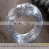 Galvanized Wire (20 Years of Factory)