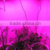 led plant grow lamp(UFO, panel, tubular, 100W,150W,200W,300W) Tri-band